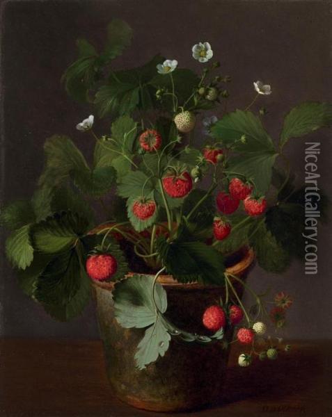 A Strawberry Plant In Bloom Oil Painting - Otto Didrik Ottesen