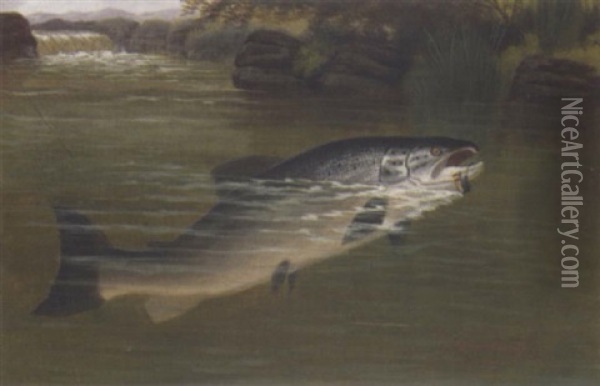 A Hooked Salmon Oil Painting - A. Roland Knight