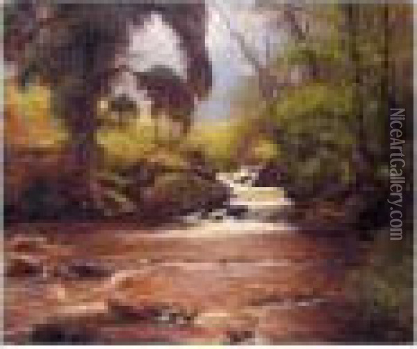 A Woodland Stream Oil Painting - Alexander Brownlie Docharty