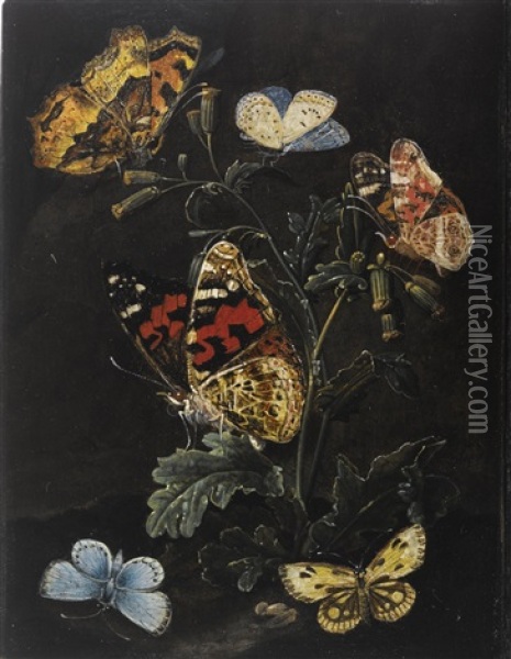 Forest Floor Still Life With Butterflies Oil Painting - Elias van den Broeck
