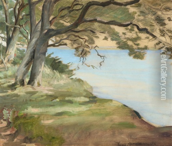 Landscape With Trees Along A Bank Oil Painting - Harald Slott-Moller