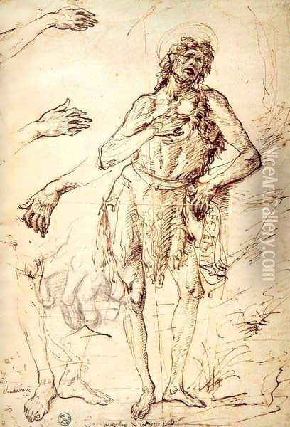 Studies of Saint John the Baptist, Hands and Feet Oil Painting - Antonio Del Pollaiuolo