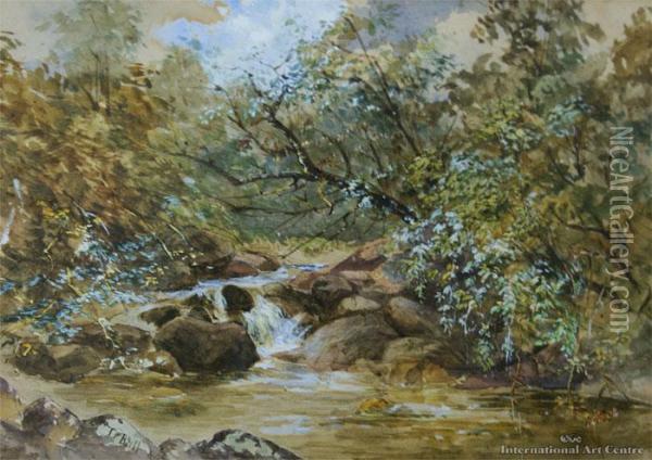 Bush & Stream Oil Painting - Thomas Ball