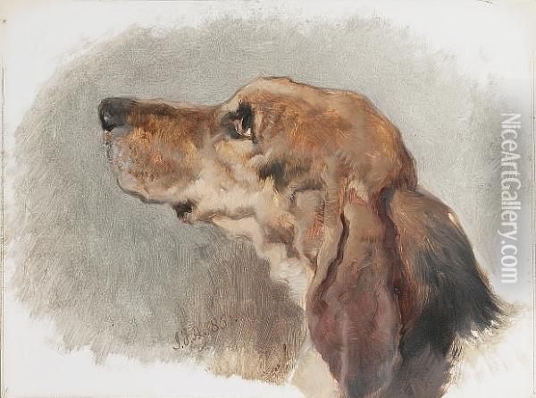 Study Of The Head Of A Hound Oil Painting - John Frederick Herring Snr