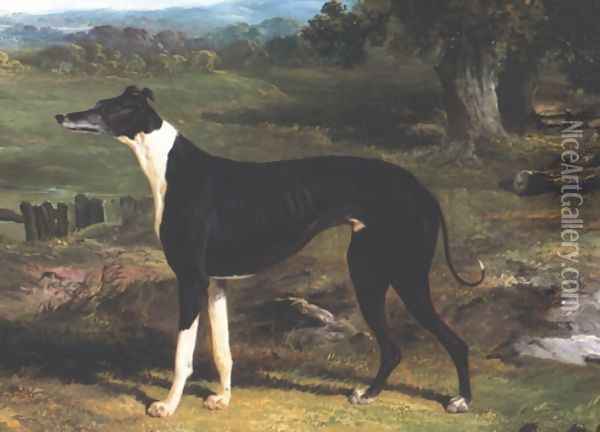 Greyhound Oil Painting - John Frederick Herring Snr