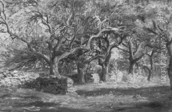 Orchard At Cajacet Oil Painting - Thomas Harris Robinson