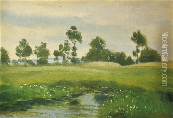 Luzni Potok Oil Painting - Frantisek Kavan