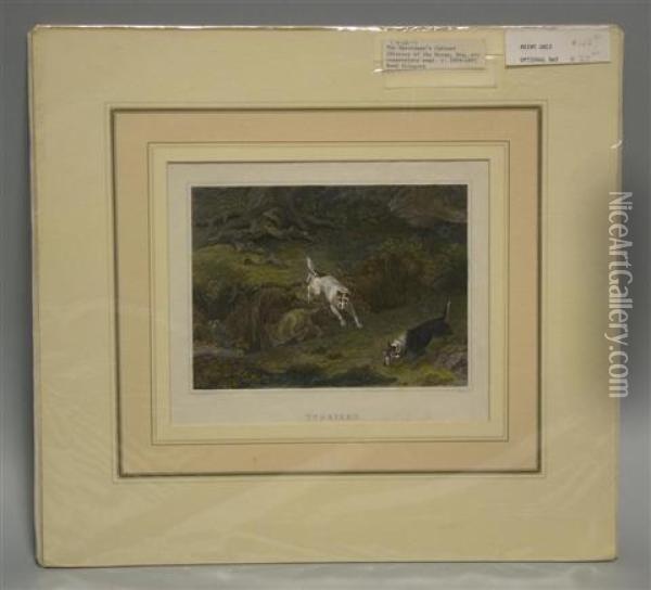 Terriers Oil Painting - Philip Reinagle