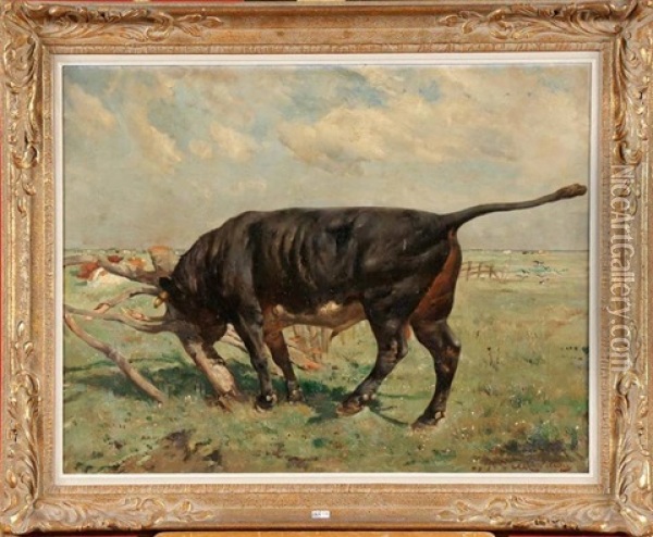 Taureau Noir Au Pre Oil Painting - Alfred Jacques Verwee