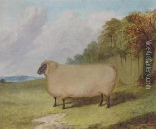 A Prize Ram In A Landscape Oil Painting - Richard Whitford
