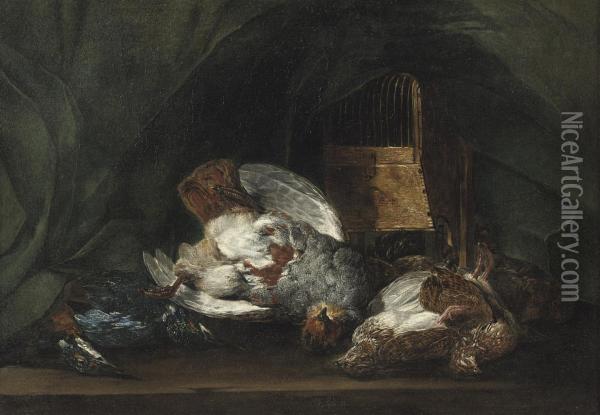 Game Including A Partridge, A Jay And Other Birds On A Table Oil Painting - Joannes Fijt