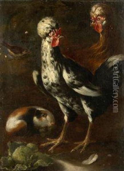 A Still Life With Animals Oil Painting - Giovanni Agostino Cassana