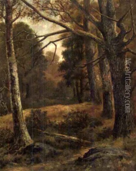Landscape Oil Painting - Jasper Green
