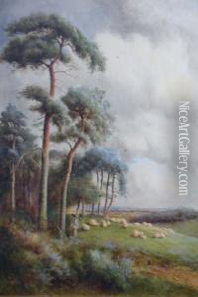 A Surrey Common - Shepherd & Sheep Oil Painting - Norris Fowler Willatt