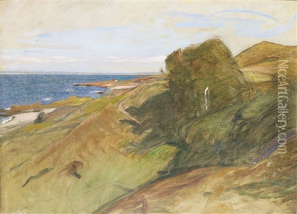 Skalderviken Vid Arild Oil Painting - Richard (Sven R.) Bergh