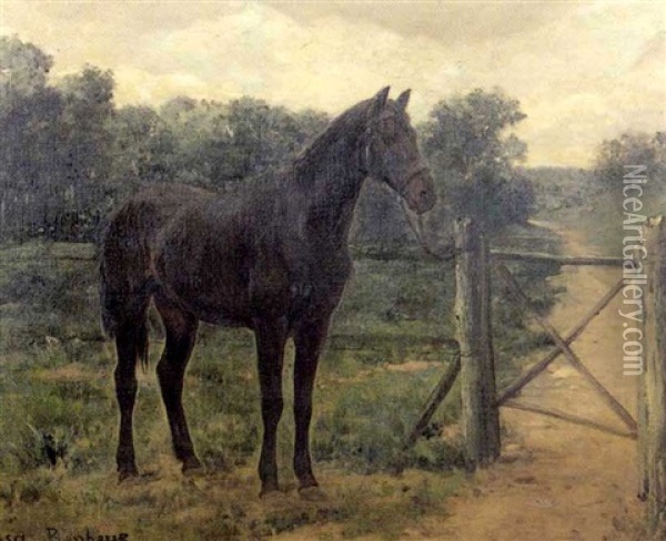 Cheval Noir Dans Un Pre Oil Painting - Rosa Bonheur