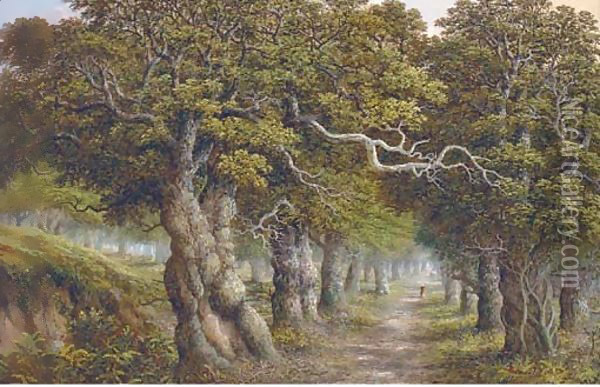 The forest track Oil Painting - Charles Leaver