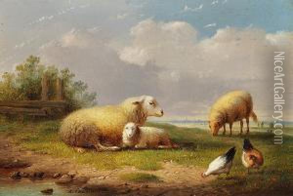Sheep And Chickens In A Summer Landscape Oil Painting - Auguste Coomans