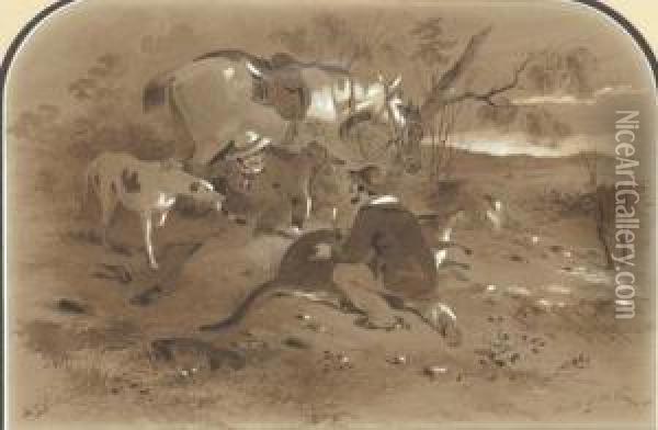 Death Of A Kangaroo Oil Painting - Samuel Thomas Gill