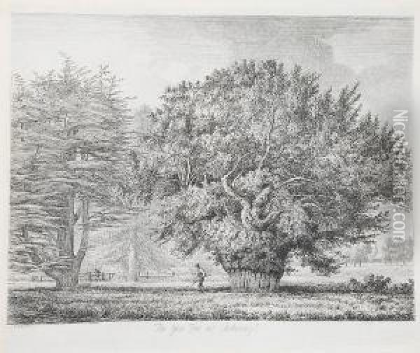 The Abbot's Oak At Woburn Oil Painting - Jacob George Strutt