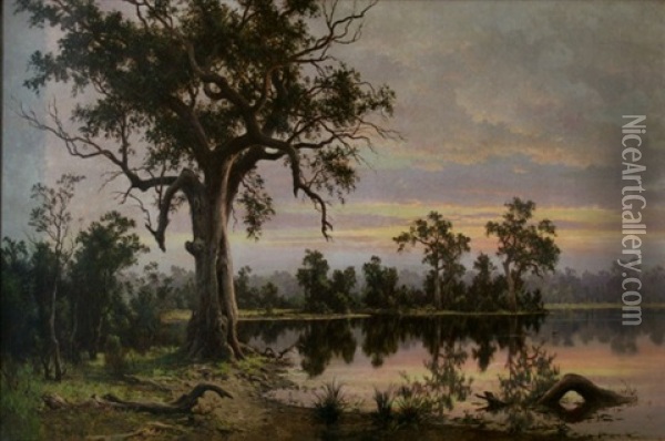 On The Murray Flats, South Australia Oil Painting - Henry James Johnstone