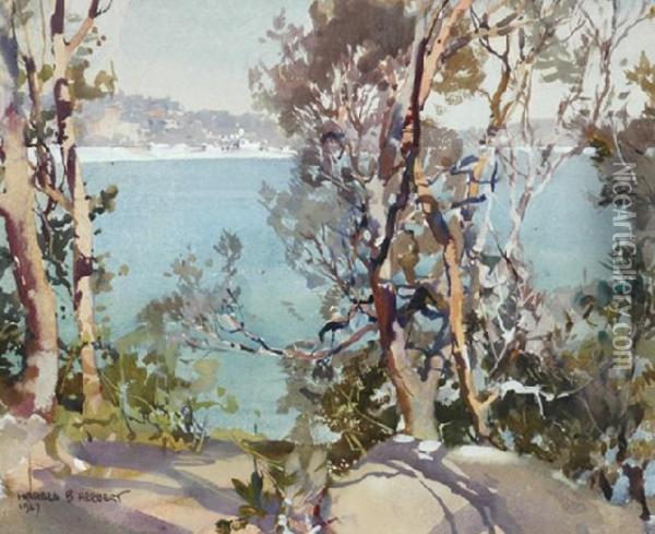 Honeysuckle, Sydney Oil Painting - Harold Brocklebank Herbert