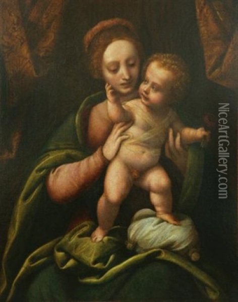 The Madonna And Child Oil Painting - Bernardino Lanino