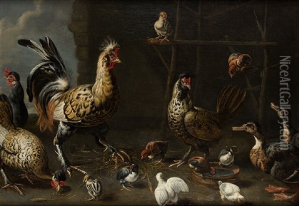 Composicion Con Gallo, Gallinas, Pollos Y Patos Oil Painting - Adriaen van Utrecht