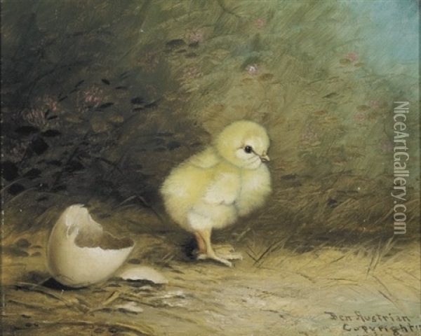 The Newborn Chick Oil Painting - Ben Austrian