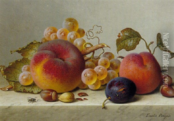 Still Life Of Fruits And Nuts On A Marble Ledge Oil Painting - Emilie Preyer