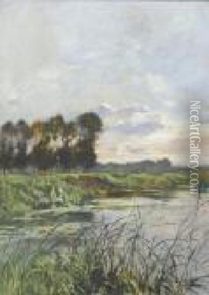 Uferpartie Mit Schilf Und Hohen Baumen Oil Painting - Edmond Yvon