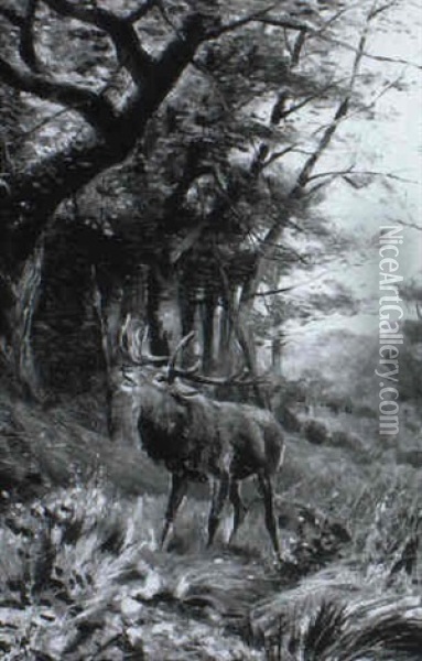 Einsamer Hirsch In Einer Waldlichtung Oil Painting - Carl Friedrich Deiker