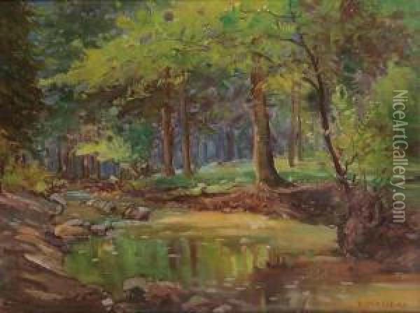A Forest Brook Oil Painting - Roman Havelka