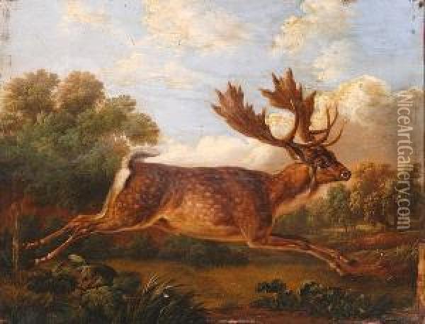 The Running Stag Oil Painting - Charles Towne