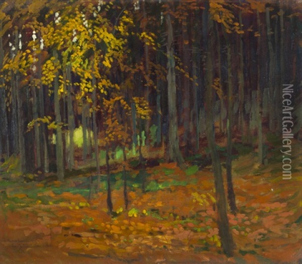 Lesni Interier Oil Painting - Gustav Macoun