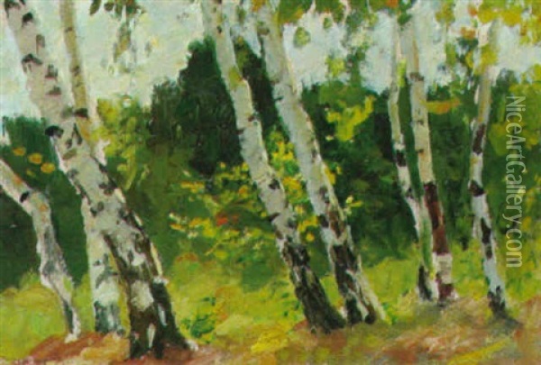 Birken Oil Painting - Fedor Petrovich Malaev