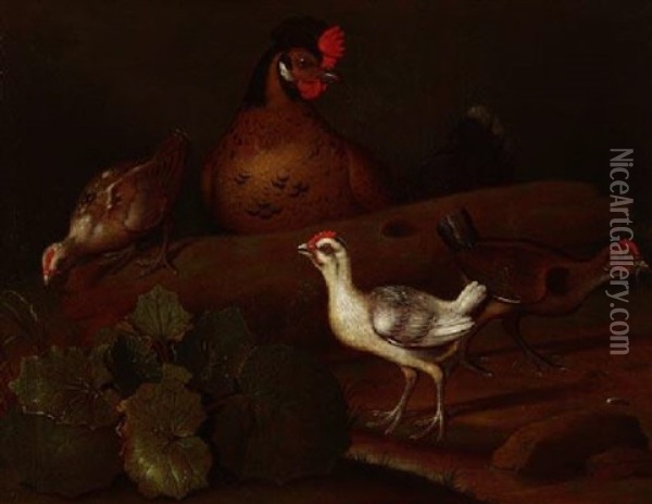 Waldstilleben Mit Federvieh Und Blattwerk Oil Painting - Jacob Samuel Beck