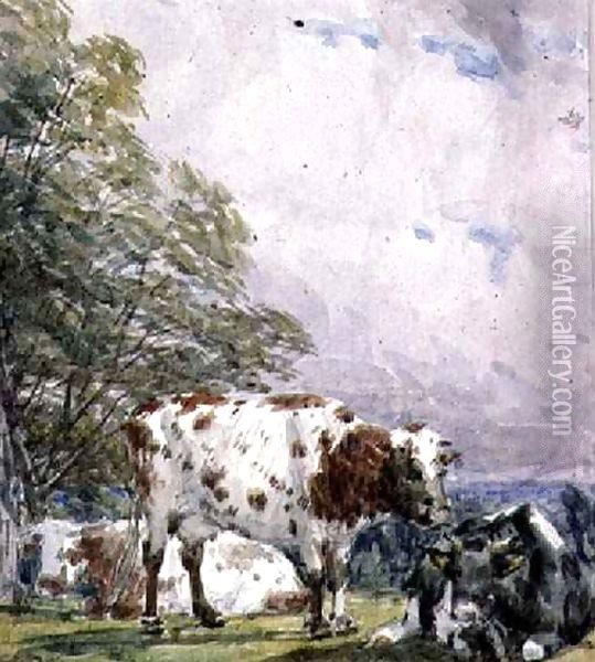 A Study of Cattle Oil Painting - Thomas Baker