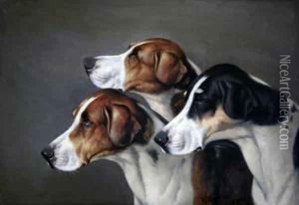 Foxhounds Oil Painting - Of John Alfred Wheeler
