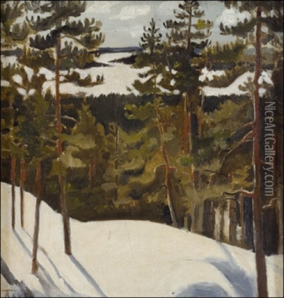 Nakoalapaikalta Oil Painting - Antti Faven