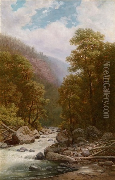 Forest River Oil Painting - Ilya Zankovsky