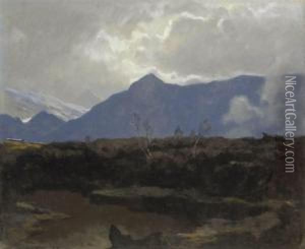 Hochmoor. Oil Painting - Albert Stagura