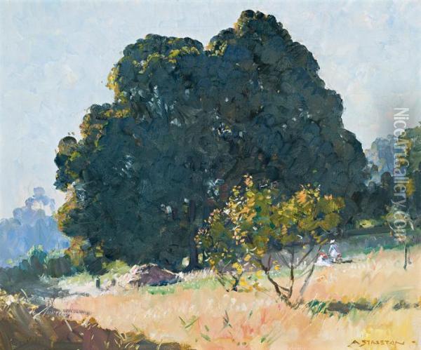 Afternoon Light (blackwood Tree) Oil Painting - Arthur Ernest Streeton