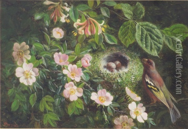 Greenfinch By Its Nest Amongst Blossom, Chaffinch By Its Nest Amongst Blossom (a Pair) Oil Painting - William Hughes