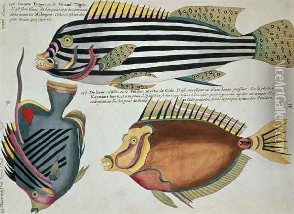 Three Fish, plate 31 from Vol 2 of Fish, Crayfish and Crabs, pub. 1754 Oil Painting - Renard, Louis