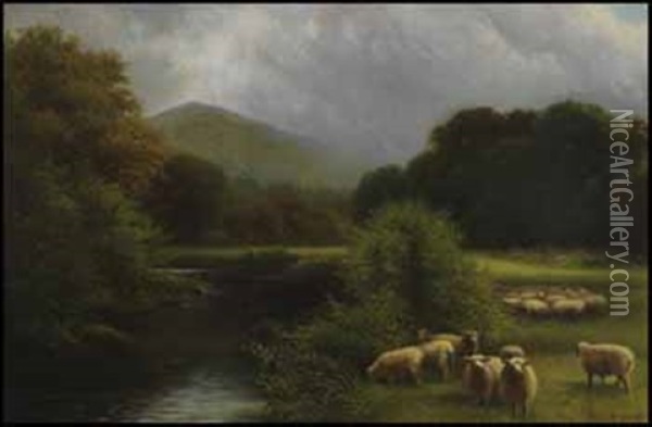 Sheep In A Pasture Oil Painting - Charles Macdonald Manly