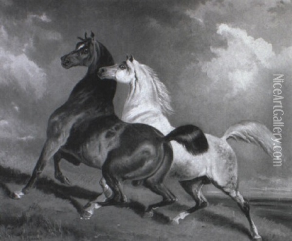 Zwei Pferde Auf Der Weide Oil Painting - Franz Adam