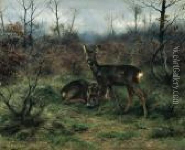 Young Deer In A Forest Clearing Oil Painting - Rosa Bonheur