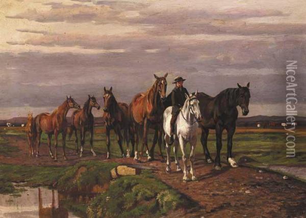 Mounted Rider Leading A Herd Of Horses Over A Stream Oil Painting - Augustus Nicolas Burke
