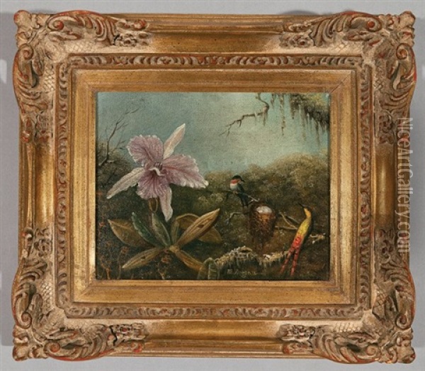 Orchid And Hummingbirds Oil Painting - Martin Johnson Heade